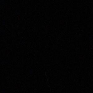 Meet your Posher, Tasha